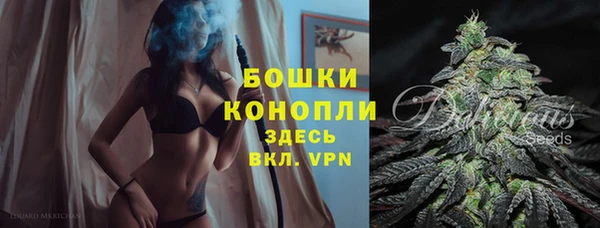 ГАЛЛЮЦИНОГЕННЫЕ ГРИБЫ Нягань