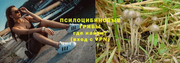индика Ступино