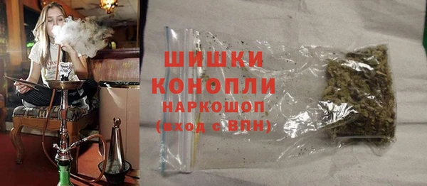 индика Ступино