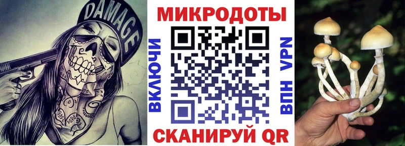Галлюциногенные грибы Cubensis  купить  сайты  Бородино 